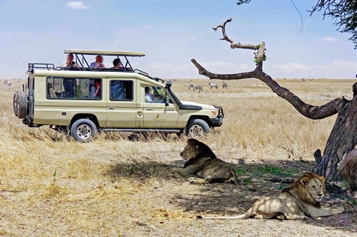 jeep safaris and tours