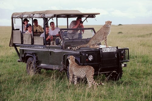 jeep safaris and tours