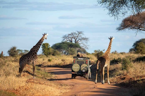 kenya and tanzania combined safaris